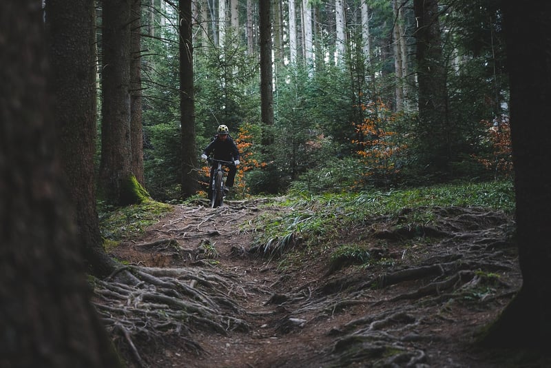 Explore Mysterious Paths